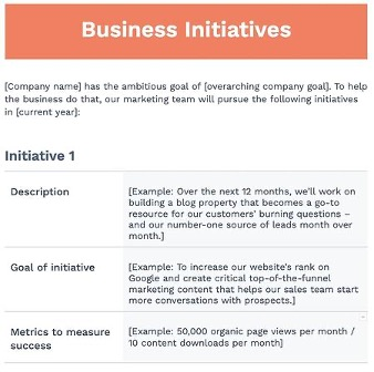 Business initiatives for a market plan
