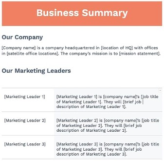 Business summary for a market plan