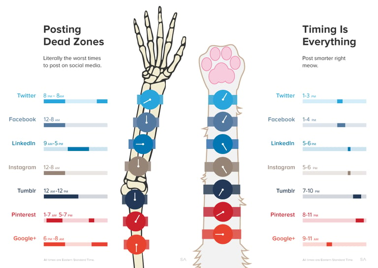 How to improve your search results example 3: social media timing infographic