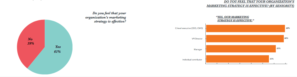 CEOs felt their marketing strategy was more effective than individuals with less power in the organisation.